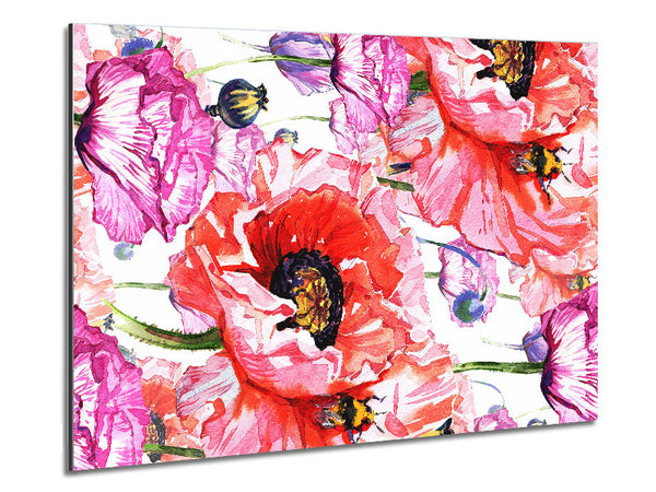 Carnation Poppy Garden Metal Print