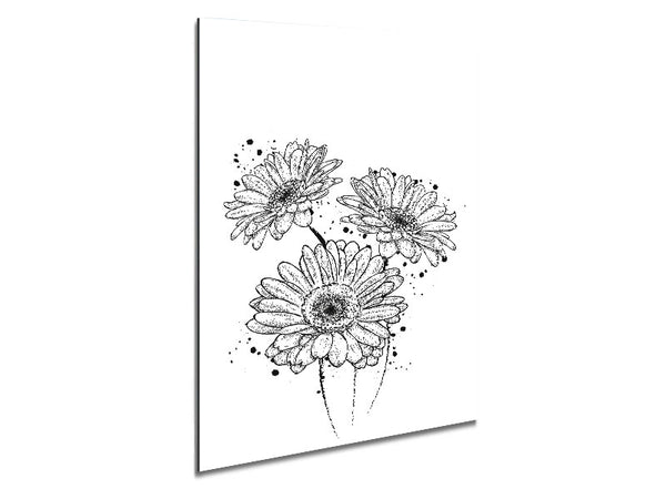 Black Daisy Splash Metal Print