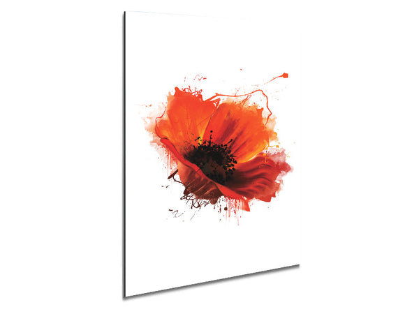 Red Poppy Head Metal Print