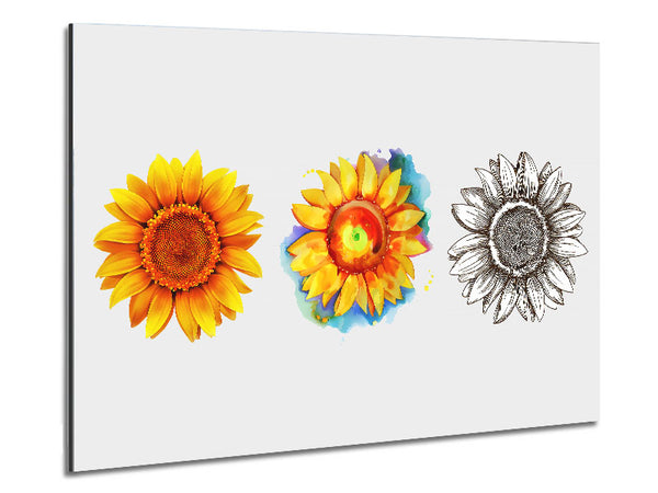 Sunflower Trio Metal Print