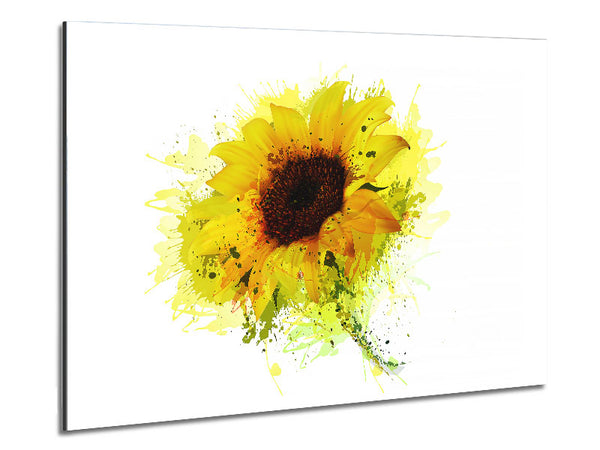 Sunflower Splash 1 Metal Print