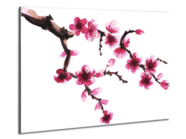 Branch Of A Cherry Blossom Metal Print