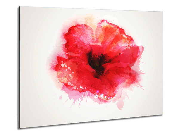 Delicate Poppy Metal Print