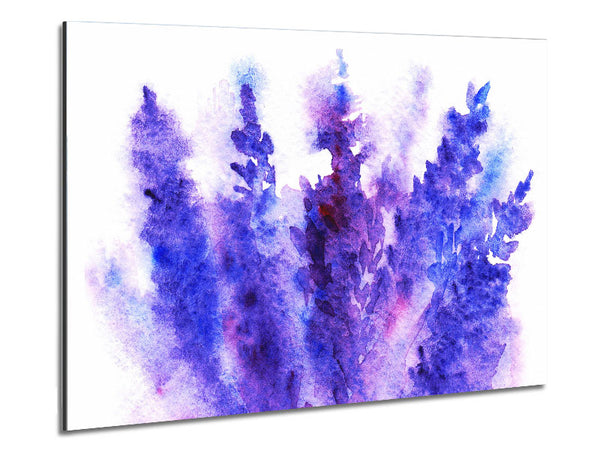 Larkspur Beauty Metal Print