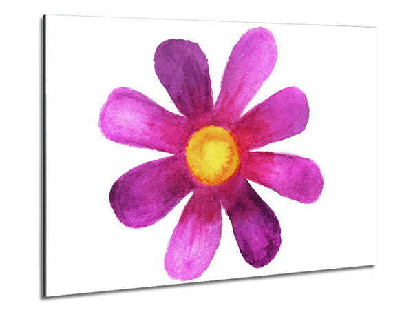 Pink Daisy Face Metal Print