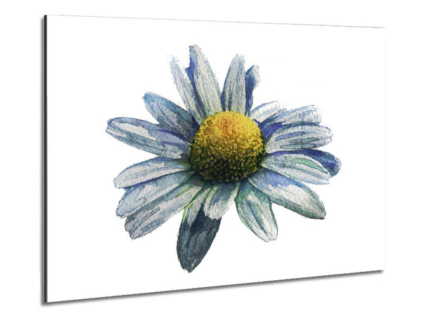 Single Daisy Head Metal Print