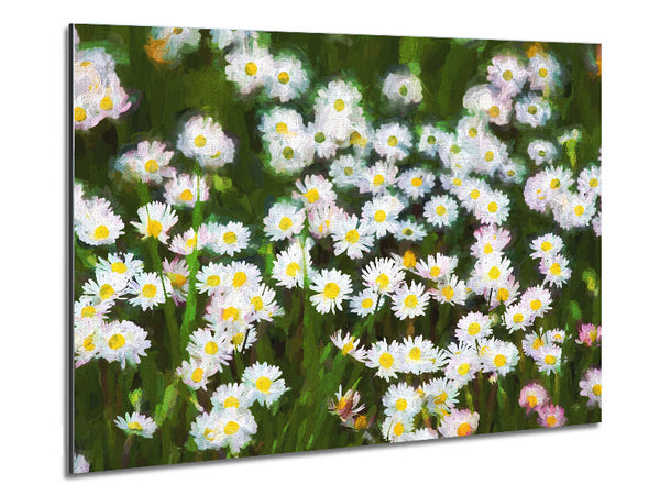 White Daisy Heaven Metal Print