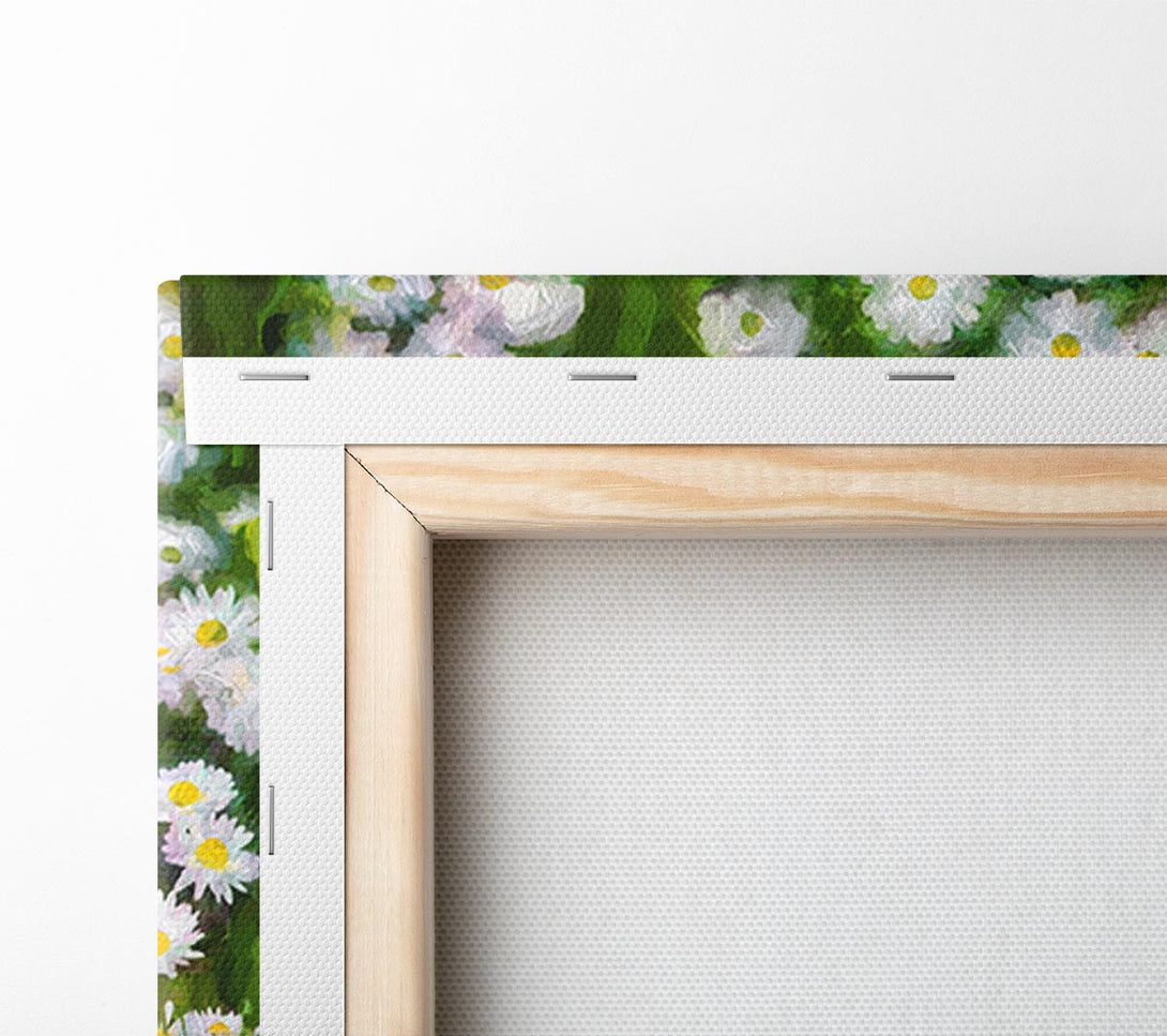  A Canvas Print of White Daisy Heaven Canvas Print