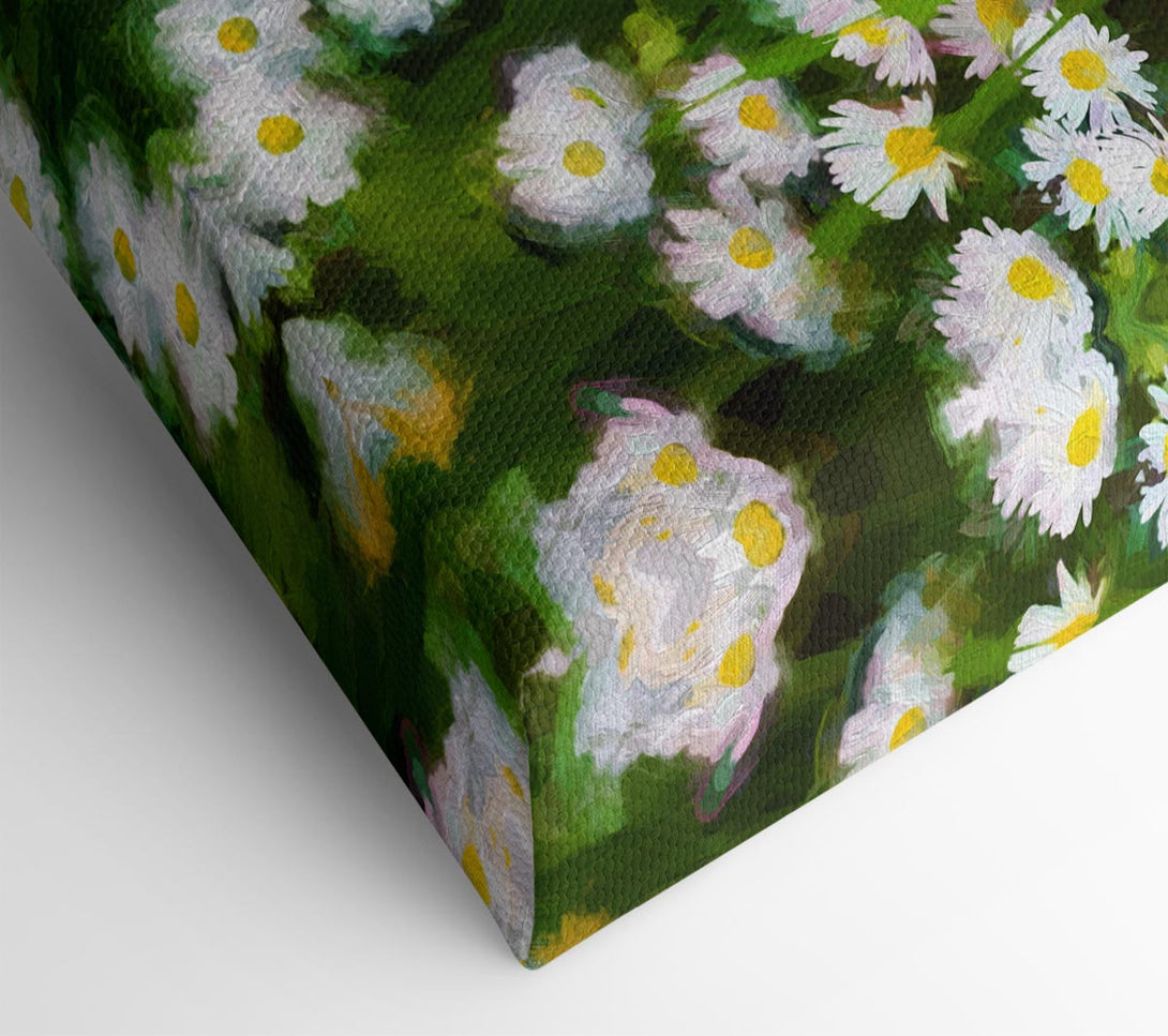  A Canvas Print of White Daisy Heaven Canvas Print