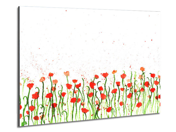 Red Poppy Garden Splash Metal Print