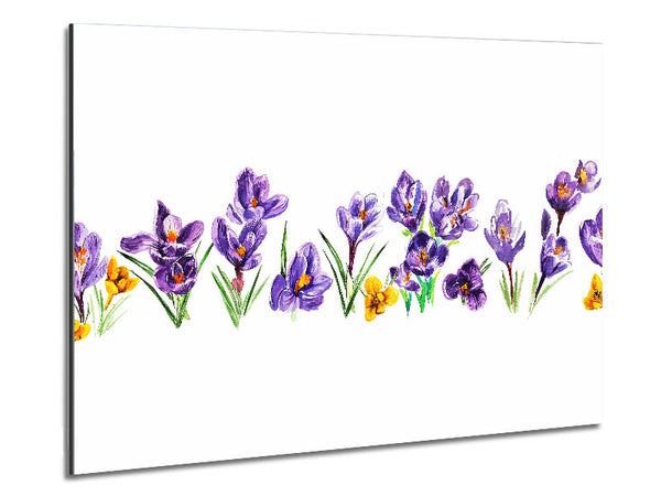 Purple Crocus Metal Print