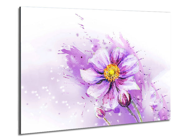 Purple Daisy Bloom Metal Print