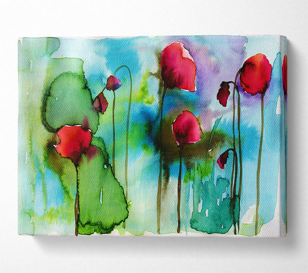  A Canvas Print of Watercolour Poppies Canvas Print