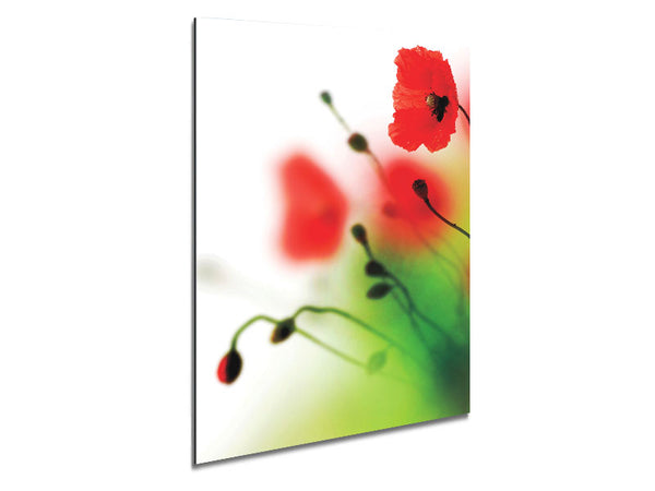 Poppy Whisper Metal Print
