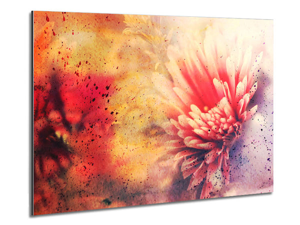 Pink Splash Metal Print