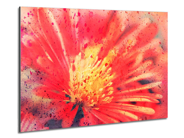 Stunning Red Flower With Yellow Center Metal Print