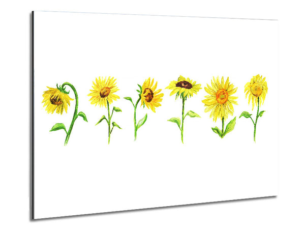Sunflower Row Metal Print