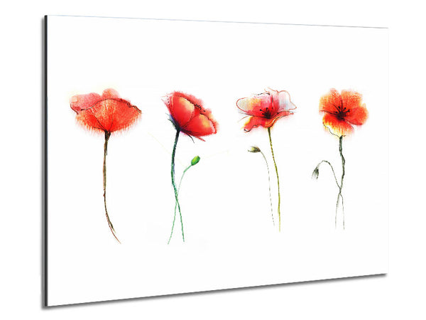 Beautiful Red Poppies Metal Print
