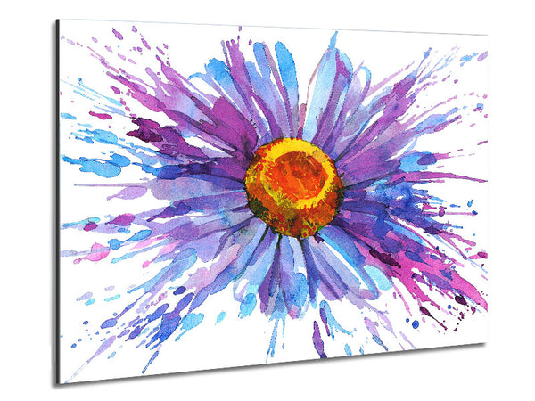 Daisy Splash Metal Print