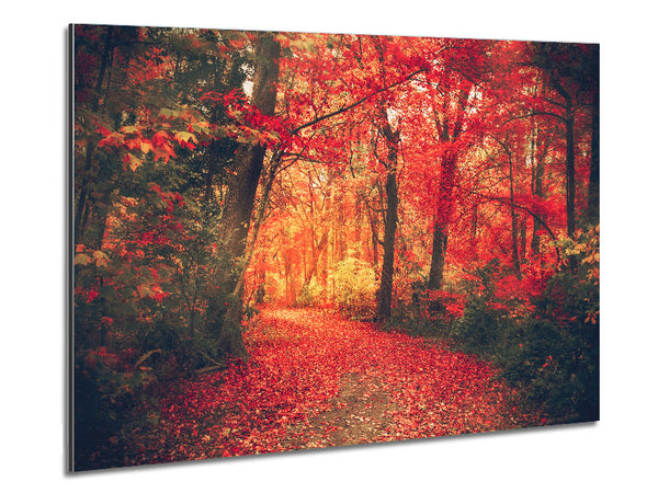 Red Tree Walk Metal Print
