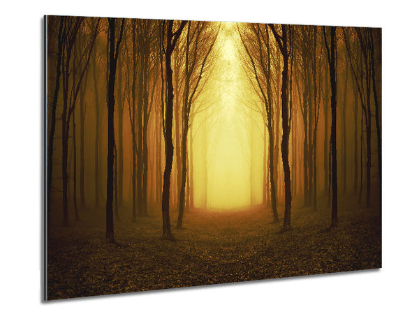 Through The Golden Path Metal Print