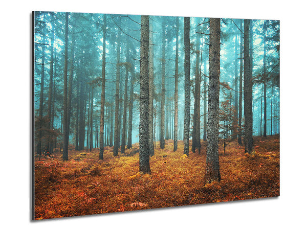 Misty Forest Glow Metal Print