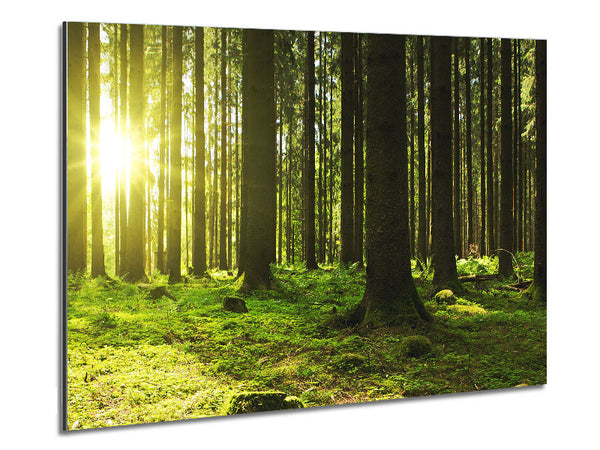 Green Sun Beam Metal Print