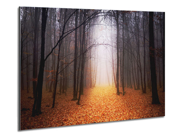 Autumn Mist Metal Print