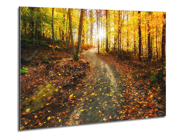 Path To The Sun 1 Metal Print