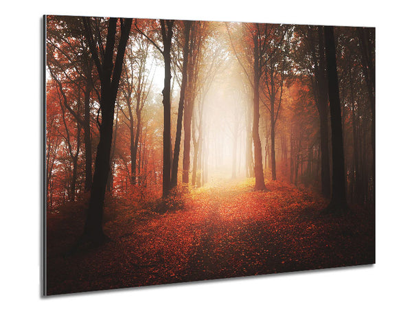 Light From Heaven Metal Print