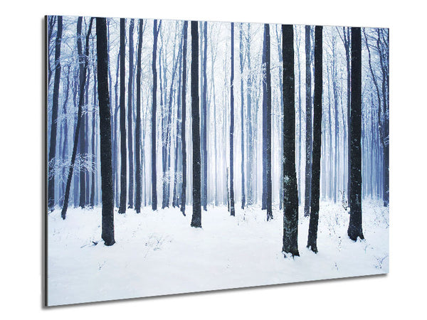 Winter Magic Metal Print