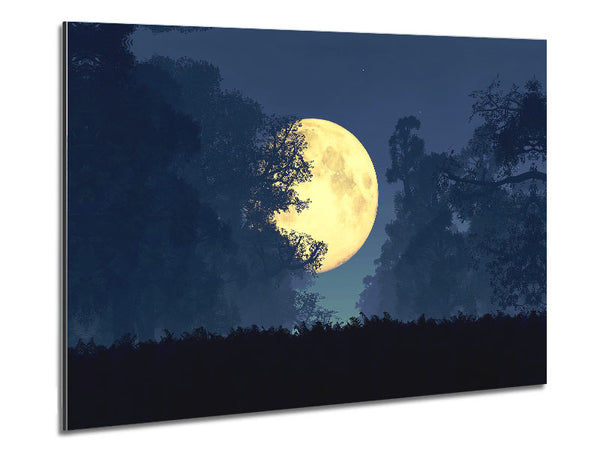 Stunning Midnight Moon Through The Trees Metal Print