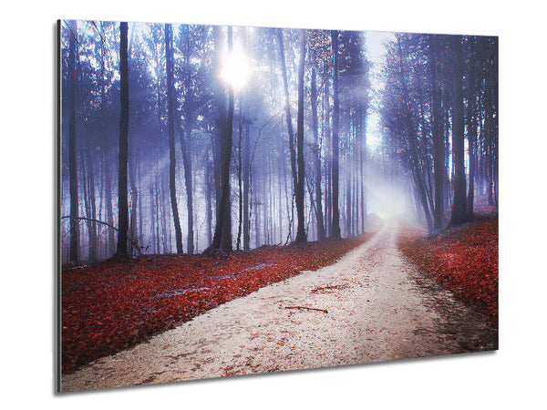 Sun Blaze Through The Mist Metal Print