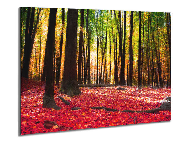Autumn Leaves Metal Print