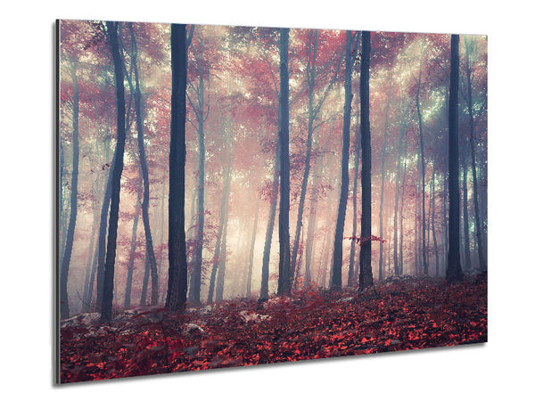 Misy In The Red Forest Metal Print