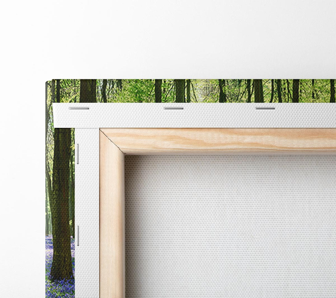  A Canvas Print of Mystical Bluebell Woodland Canvas Print