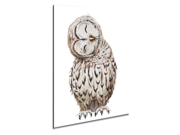 Owl Feathers Metal Print