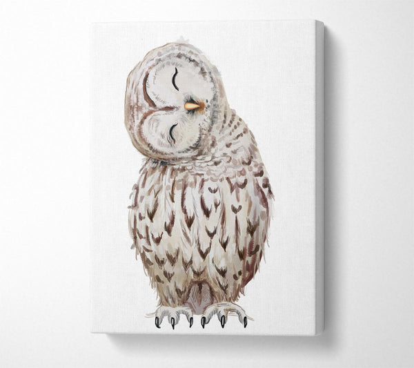  A Canvas Print of Owl Feathers Canvas Print
