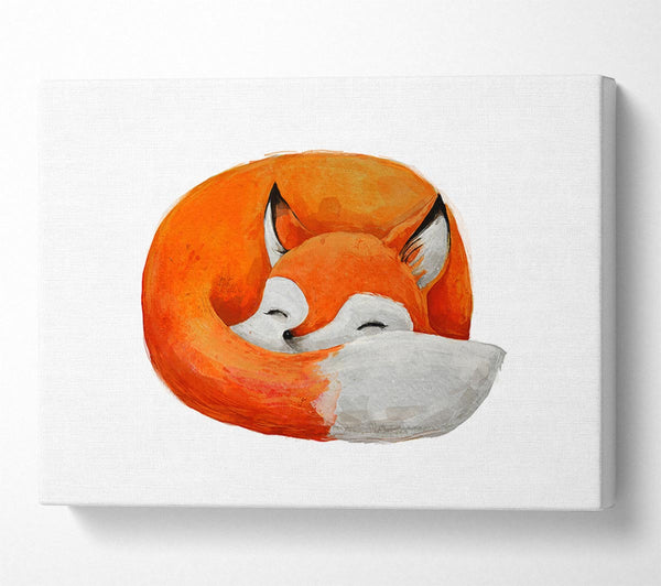  A Canvas Print of Sleeping Fox 1 Canvas Wall Art