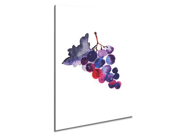 Wine Grapes Metal Print