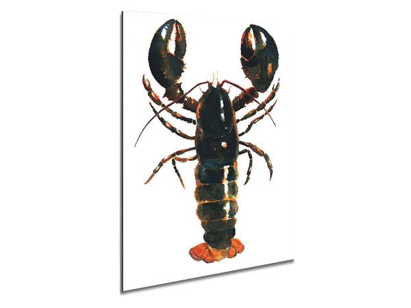 Lobster Metal Print