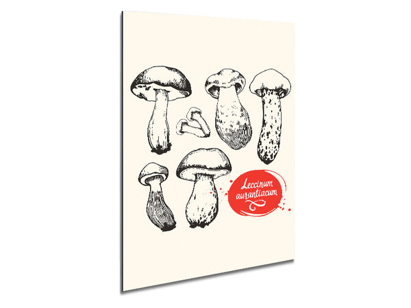 Mushrooms Metal Print