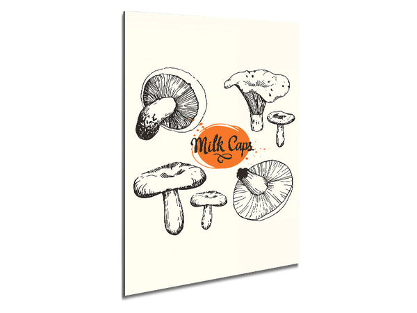Milk Cap Mushrooms Metal Print