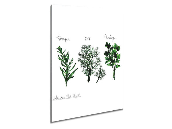 Herb Selection 1 Metal Print
