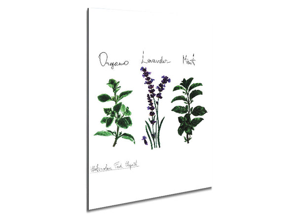 Herb Selection 2 Metal Print