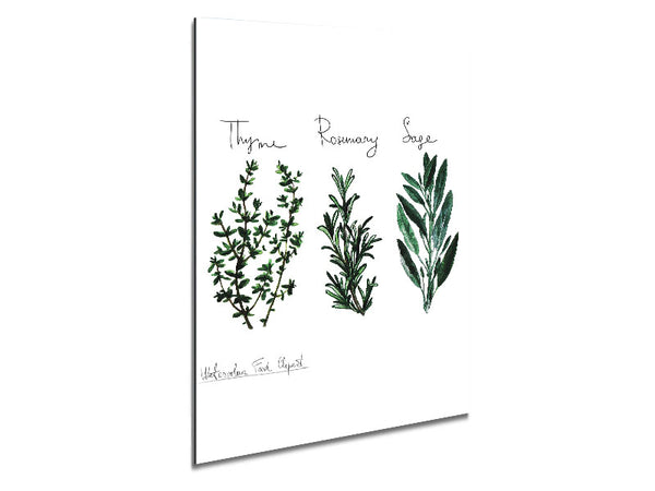 Herb Selection 3 Metal Print