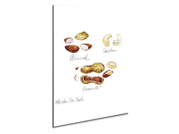 Nut Selection 3 Metal Print