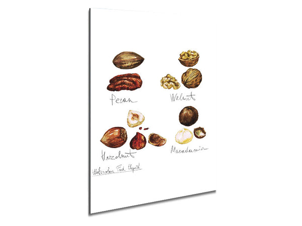 Nut Selection 1 Metal Print