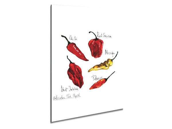 Choose Your Chili Metal Print