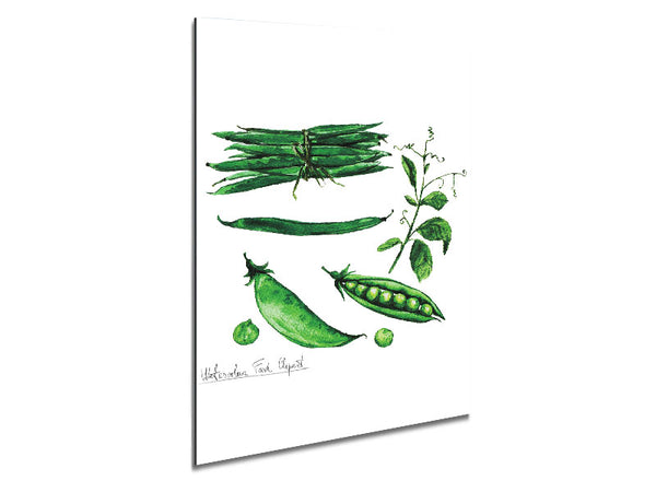 Peas In A Pod Metal Print